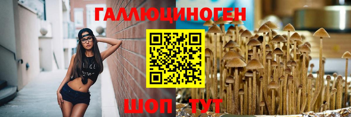 Йошкар-Ола  Галлюциногенные грибы прущие грибы  Вход с VPN 